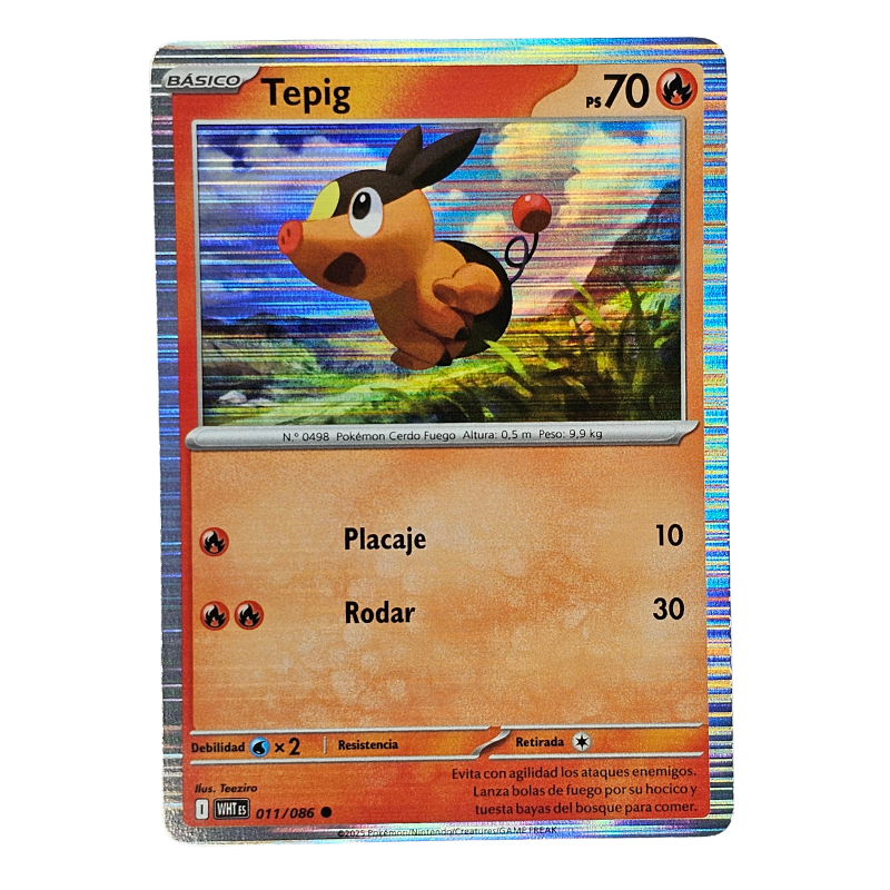 Tepig [Poster Holo] #11 | Español - Una Carta Más