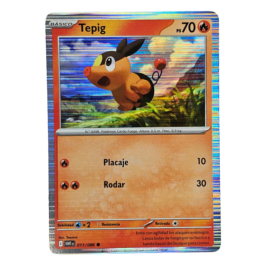 Tepig [Poster Holo] #11 | Español - Una Carta Más