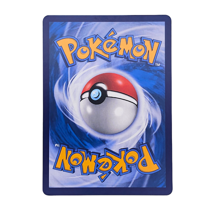 Arctibax #132 | Chino