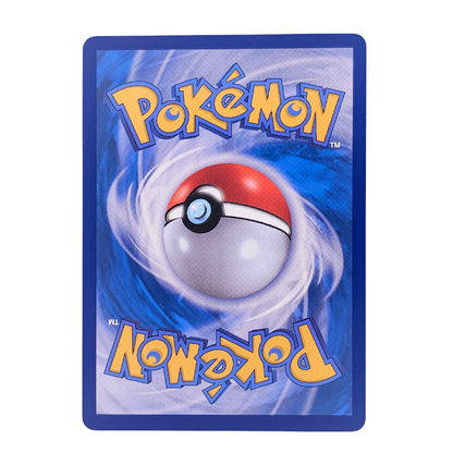 Mega Signal #81 | Coreano