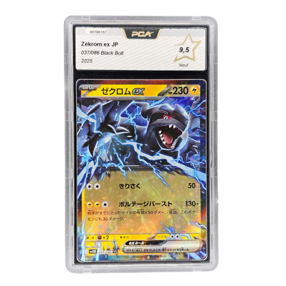 Zekrom EX #37 | PCA 9,5 | Japonés