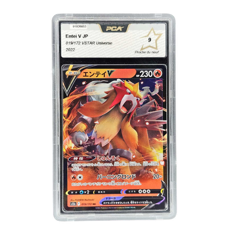 Entei V #19 | PCA 9 | Japonés