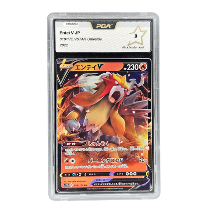 Entei V #19 | PCA 9 | Japonés